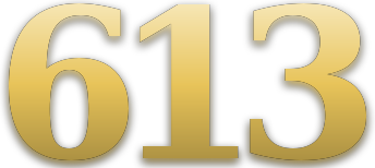 613 logo